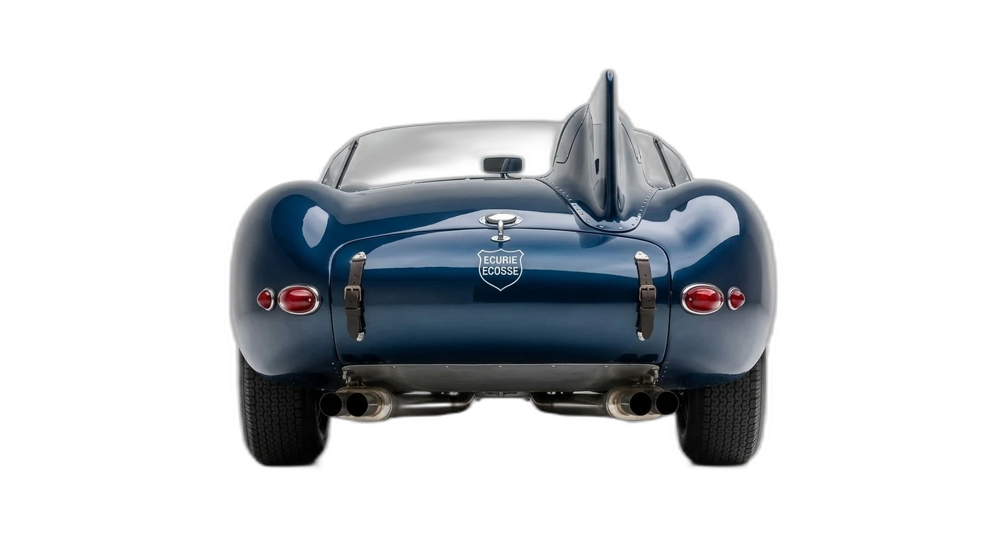 Jaguar D-Type - Rear